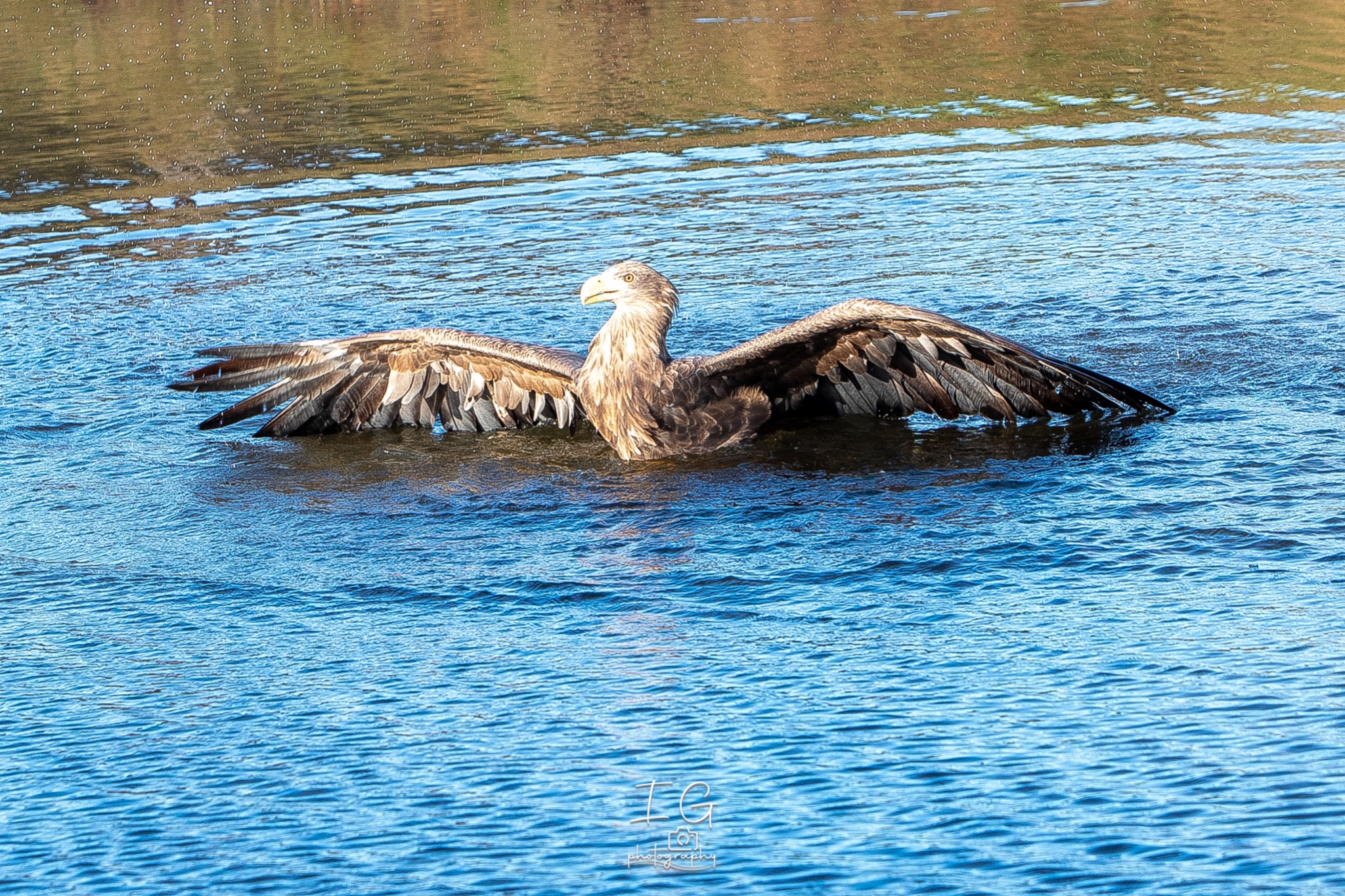 1DX44347 21 november 2021 1420 50